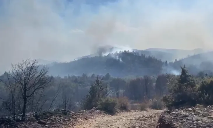 Përshkallëzohet situata e zjarreve në Kalivac të Lezhës, raportohet për djegie banesash