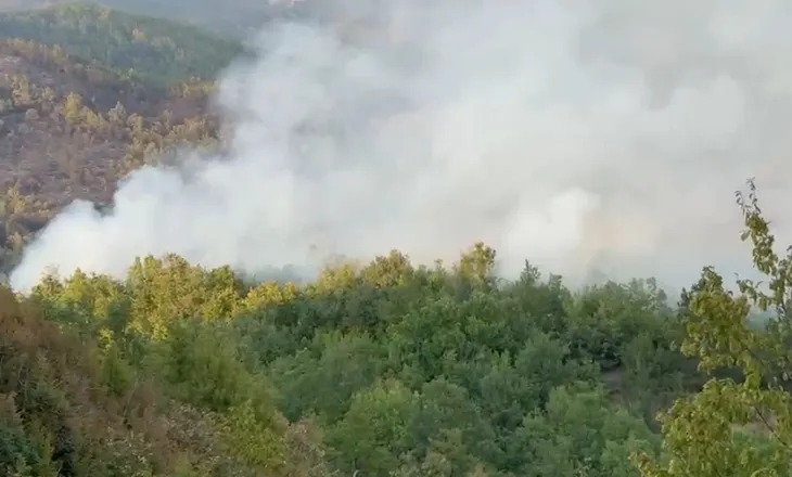 Pesë vatra zjarri ende aktive në fshatin Rras të Lezhës