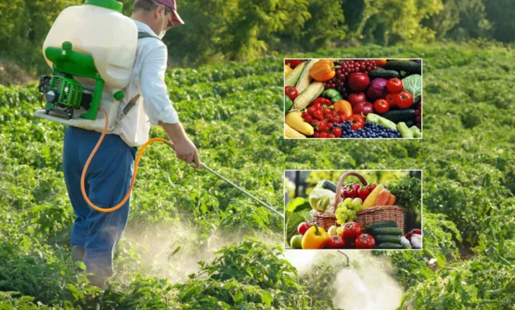Pesticidet në fruta e perime/ Agronomët kërkojnë protokoll të ri dhe përdorim të preparateve me karencë të shkurtër