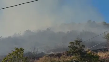 Pogradec/ Zjarri në Mëmëlisht, flakët rrezikojnë sipërfaqen pyjore