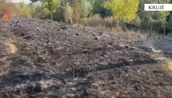 Policia arreston në flagrancë autori i një rasti zjarrvënieje në fshatin Zallë, në Krujë