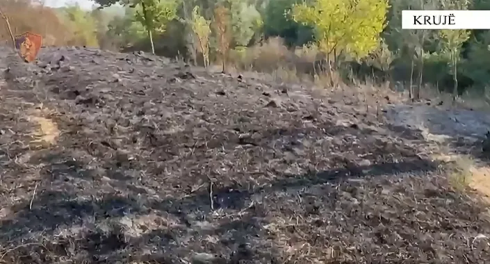 Policia arreston në flagrancë autori i një rasti zjarrvënieje në fshatin Zallë, në Krujë