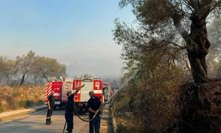 Rama për zjarret në Himarë e Fier: Situata nën kontroll, nis vlerësimi i dëmeve