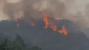 Raportimi – Situata në Fier, flakët po përpijnë pyllin e Peshtanit të Vogël, ullishte të tëra po digjen! Rrezikohet një pike karburanti, lokale dhe banesa