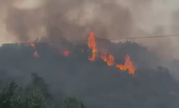 Raportimi – Situata në Fier, flakët po përpijnë pyllin e Peshtanit të Vogël, ullishte të tëra po digjen! Rrezikohet një pike karburanti, lokale dhe banesa