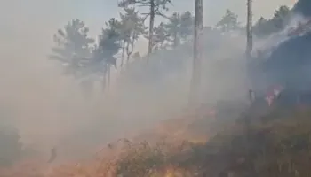 Rëndohet situata me zjarret në Ulëz, pritet evakuimi i banorëve të Madheshit! Flakët u afrohen shtëpive, era i favorizon