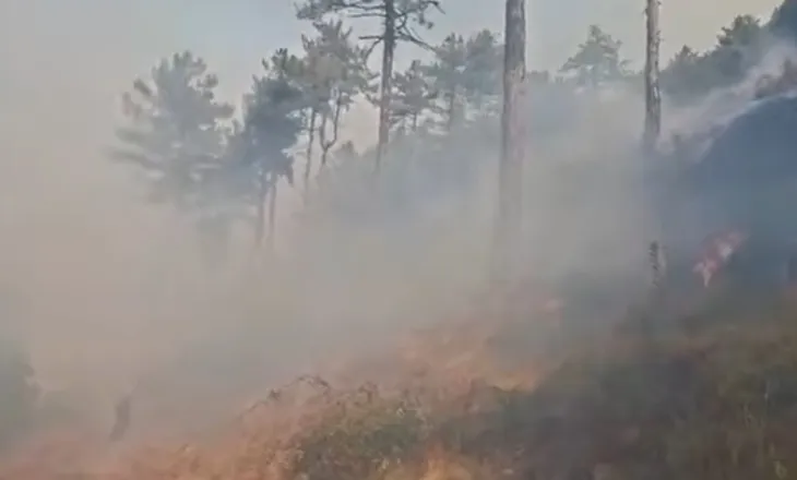 Rëndohet situata në Mat, zjarri në Ulëz del jashtë kontrollit! Flakët përparojnë me shpejtësi, evakuohen disa familje