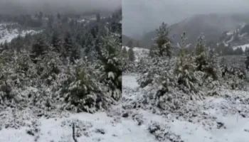 Reshjet e para të borës zbardhin Bjeshkët e Tropojës
