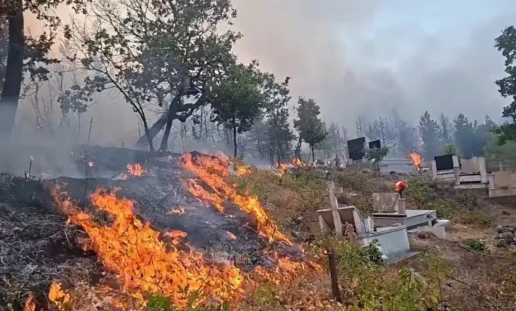 Riaktivizohet zjarri në Lezhë, mbi 5 vatra aktive