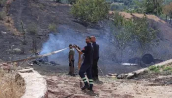 Rrezikoi të digjte dhe banesat, vihet në kontroll zjarri në Prrenjas!