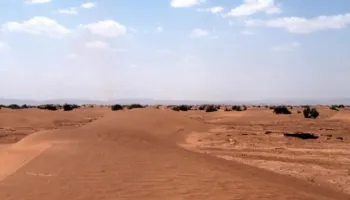 Saharaja Perëndimore, Peruja mbështet nga OKB sovranitetin e Marokut dhe njofton hapjen e një konsullate në Dakhla!