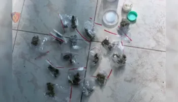 Shiste kokainë dhe kanabis në lokalin ku punonte si kamerier, arrestohet 18-vjeçari në Elbasan