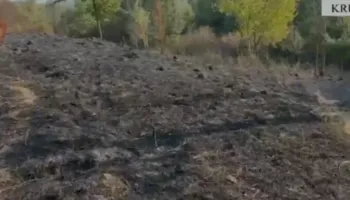 Shkaktoi zjarrin në fshatin Zallë, arrestohet 67-vjeçari i dyshuar si piroman, tha se po digjte mbeturinat!