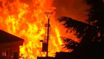 Shkaktuan dy zjarre në Durrës, 3 të dyshuar si piromanë në pranga! U shkrumbuan dhjetëra hektarë me pemëtari, njëri aksidental nga freksibli