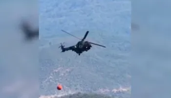 Shkodër/ Zjarri vihet nën kontroll, bonorët jashtë rrezikut