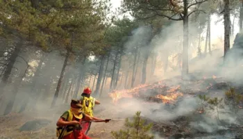 Shqipëria në “flakë”! 11 vatra aktive: Himara në ‘qetësi’, Dajti, Shkodra dhe Fieri në ‘luftë’ me zjarret