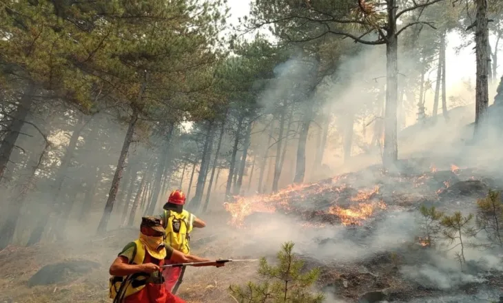 Shqipëria në “flakë”! 11 vatra aktive: Himara në ‘qetësi’, Dajti, Shkodra dhe Fieri në ‘luftë’ me zjarret