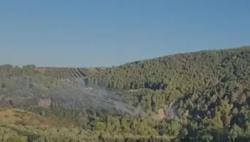 Shuhen zjarret në Fier/ Aktive vetëm një vatër në Frakull, 30 forca të FA në terren