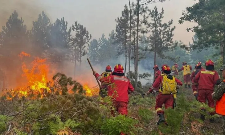 Si paraqitet situata nga zjarret? “Mbrojtja”: 44 vatra në 24 orët e fundit, 14 ende aktive