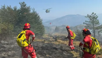 Si paraqitet situata nga zjarret? Problematika në Shkodër, Dajt, Dibër, Lezhë e Berat