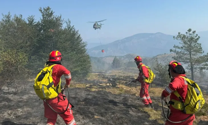 Si paraqitet situata nga zjarret? Problematika në Shkodër, Dajt, Dibër, Lezhë e Berat