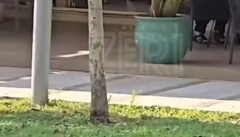 SINJAL për kë? Çfarë fshihet pas tritolit në Durrës