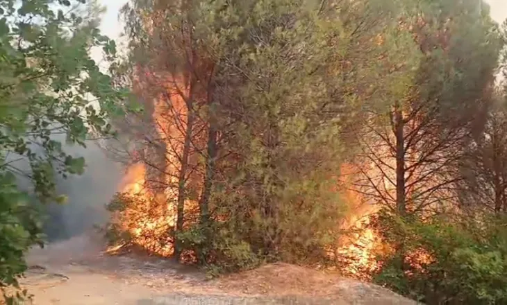 Situata alarmante në Lundre, zjarri po avancon drejt Shkopetit