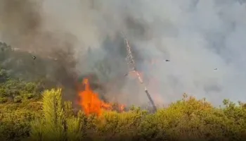 Situata e zjarreve në vend, ja sa vatra janë aktive