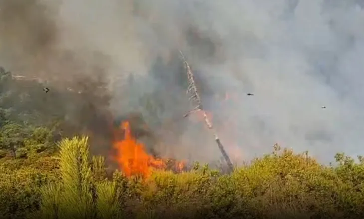 Situata e zjarreve në vend, ja sa vatra janë aktive