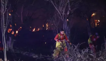 Situata e zjarreve, nga 32 vatra në vend, 11 janë aktive. Problematike situata në Dajt, Shkodër dhe Fier