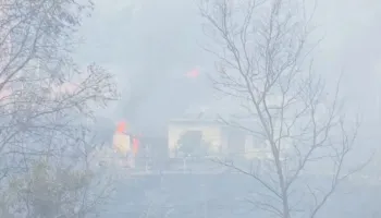 Situatë alarmante me flakët në Fier, banorët nisin evakuimin! Flet kreu i Emergjencave Civile, Çako: Zjarri ka marrë përmasa të jashtëzakonshme!