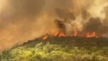 Situatë alarmante nga zjarri në Radostinë, flakët i afrohen shtëpive, nis dhe evakuimi i banorëve! Kërkohet ndërhyrje nga ajri (FOTO)