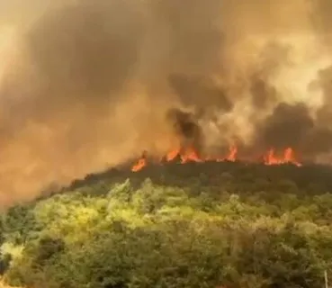 Situatë alarmante nga zjarri në Radostinë, flakët i afrohen shtëpive, nis dhe evakuimi i banorëve! Kërkohet ndërhyrje nga ajri (FOTO)