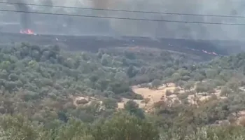 Situatë kritike në Krastë të Krujës, zjarri rrezikon 20 banesa! Era përhap flakët me shpejtësi banorët nën panik kërkojnë ndërhyrje nga ajri