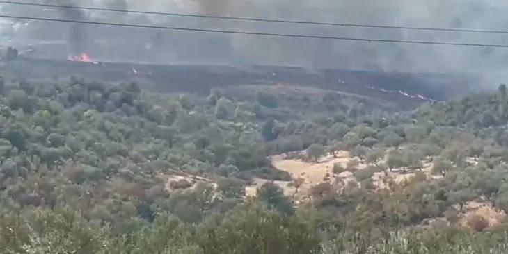 Situatë kritike në Krastë të Krujës, zjarri rrezikon 20 banesa! Era përhap flakët me shpejtësi banorët nën panik kërkojnë ndërhyrje nga ajri