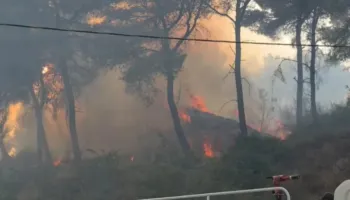 Situatë kritike nga zjarri në Fier dhe “Qafën e Koshovicës”, flakët përfshijnë lokalin dhe 3 shtëpi të pabanuara! Nis ndërhyrja nga ajri (FOTO)