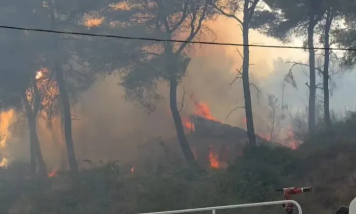 Situatë kritike nga zjarri në Fier dhe “Qafën e Koshovicës”, flakët përfshijnë lokalin dhe 3 shtëpi të pabanuara! Nis ndërhyrja nga ajri (FOTO)
