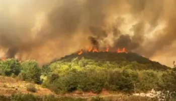 Situatë kritike/ Radostina nën kërcënimin e flakëve, nis evakuimi i banorëve