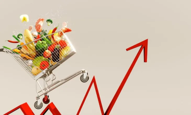 Statistikat, inflacioni ngjitet në 3,2%, ushqimet, transporti dhe kostot e banimit fluturojnë lart çmimet
