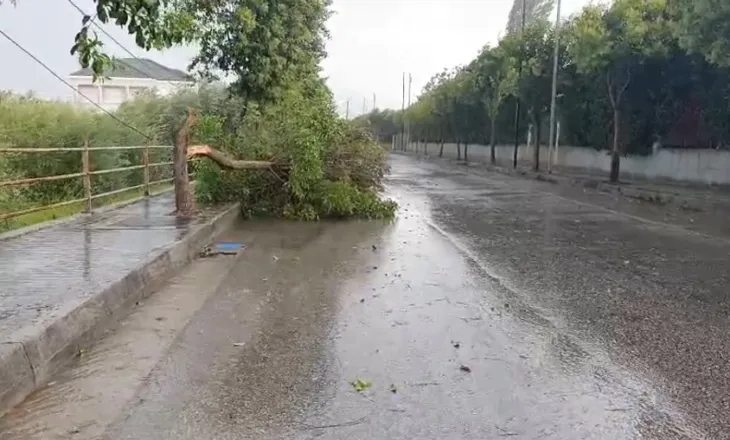 Stuhi e fortë përfshin Roskovecin, pemët e thyera vështirësojnë qarkullimin