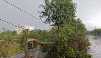 Stuhia përfshin Roskovecin, pemët bien në rrugë dhe pengojnë qarkullimin e automjeteve