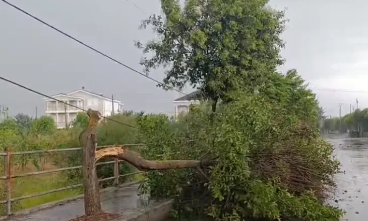 Stuhia përfshin Roskovecin, pemët bien në rrugë dhe pengojnë qarkullimin e automjeteve