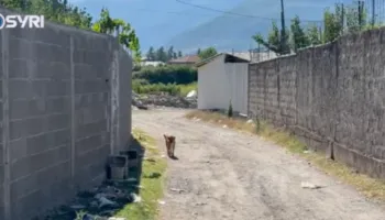 SYRI TV/ Banorët e ish-stacionit të trenit në Elbasan: Nuk kemi infrastrukturë, problem mbetet edhe ndriçimi