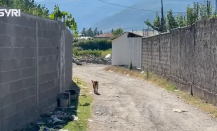 SYRI TV/ Banorët e ish-stacionit të trenit në Elbasan: Nuk kemi infrastrukturë, problem mbetet edhe ndriçimi