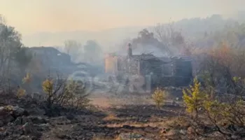 SYRI TV/ Lezhë, bilanci i zjarreve gjatë verës, 2500 hektarë pyje dhe 12 banesa të shkrumbuara