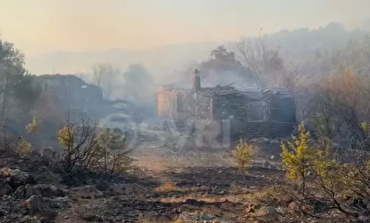 SYRI TV/ Lezhë, bilanci i zjarreve gjatë verës, 2500 hektarë pyje dhe 12 banesa të shkrumbuara