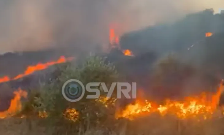 SYRI TV/ Zjarret e shtatorit, djegin vendin, në gjirin e Lalzit digjet një banesë