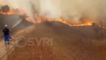 SYRI TV/ Zjarri në Fier, 15 banesa të djegura, dëmshpërblimi për fermerët në pikëpyetje