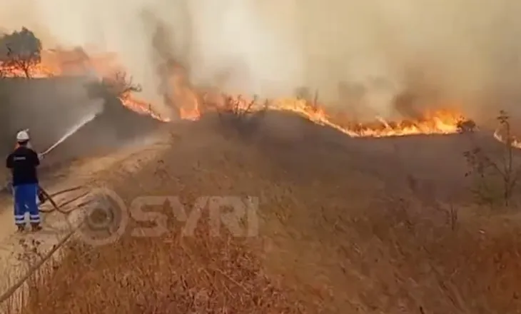 SYRI TV/ Zjarri në Fier, 15 banesa të djegura, dëmshpërblimi për fermerët në pikëpyetje