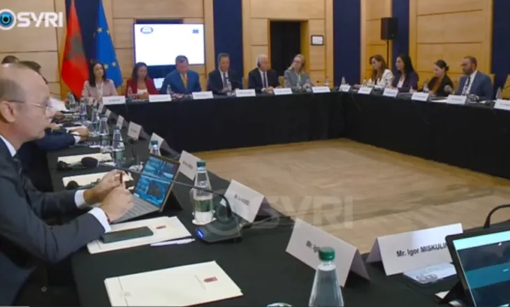 Takimi i Stabilizim-Asociimit Shqipëri- BE/ Eurodeputetja kërkon heqjen e imunitetit për Ballukun – Bardhi: Rama mbron korrupsionin
